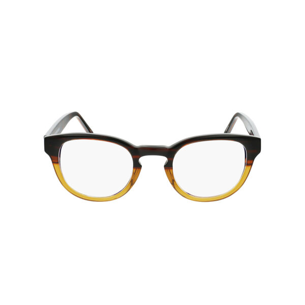 Lentes con protección luz azul Carlos Miel